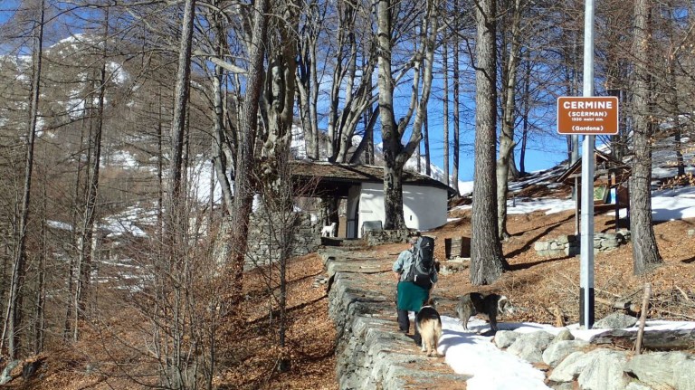 WhatsApp Image 2018-01-31 at 08.34.55