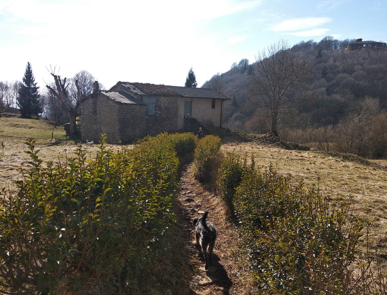 IMG_20190310_143035_BURST10