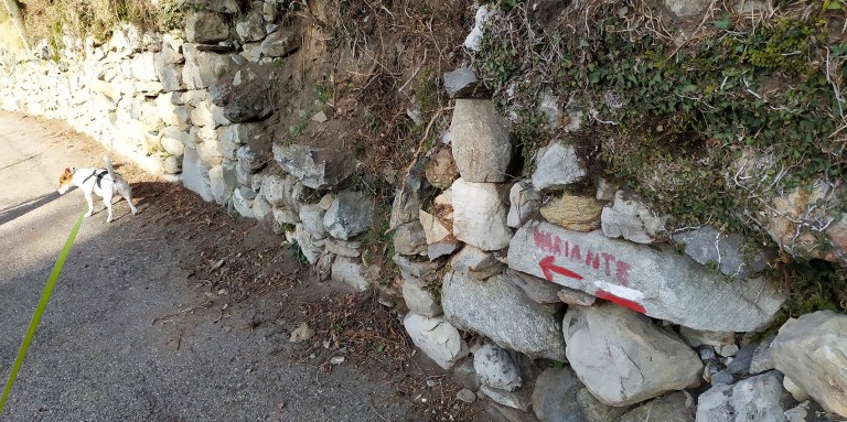 03_IMG_20200223_101624