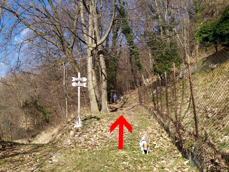 05_IMG_20200223_101839