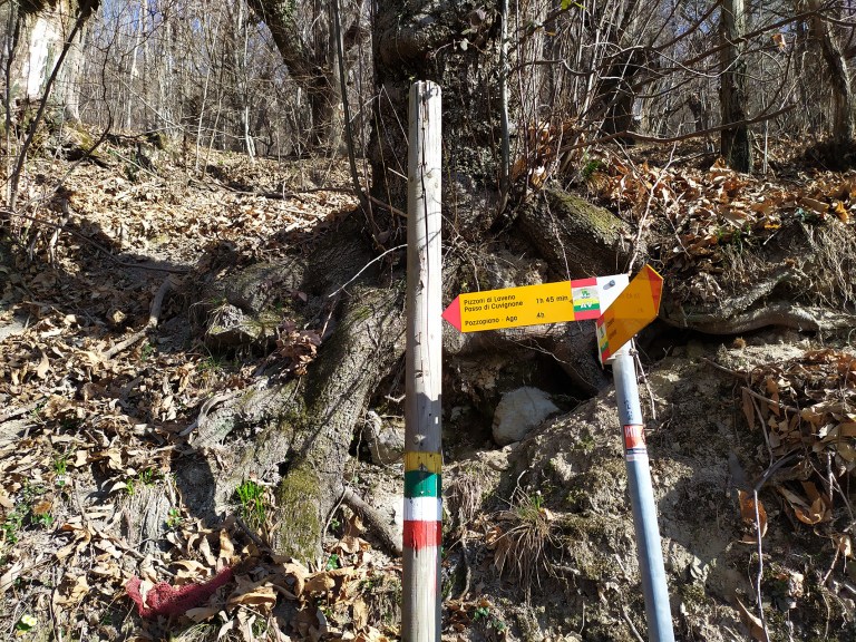 10_IMG_20200223_103418