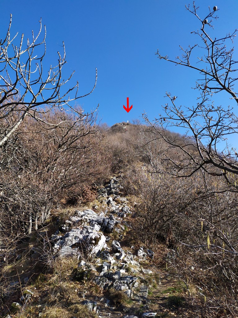 13_IMG_20200223_105017