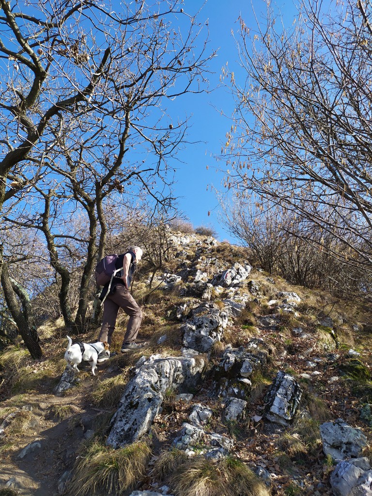 15_IMG_20200223_105511