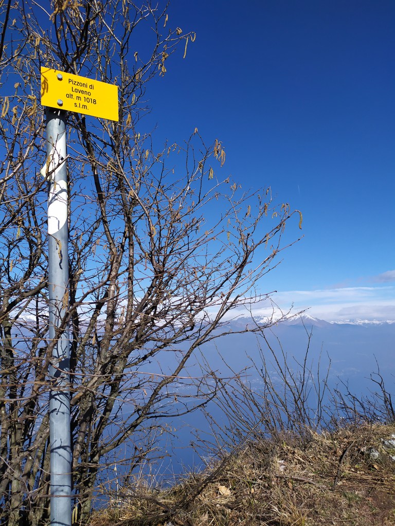 18_IMG_20200223_110125