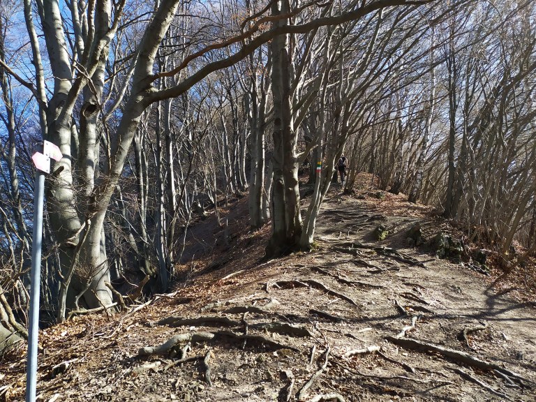 19_IMG_20200223_112240