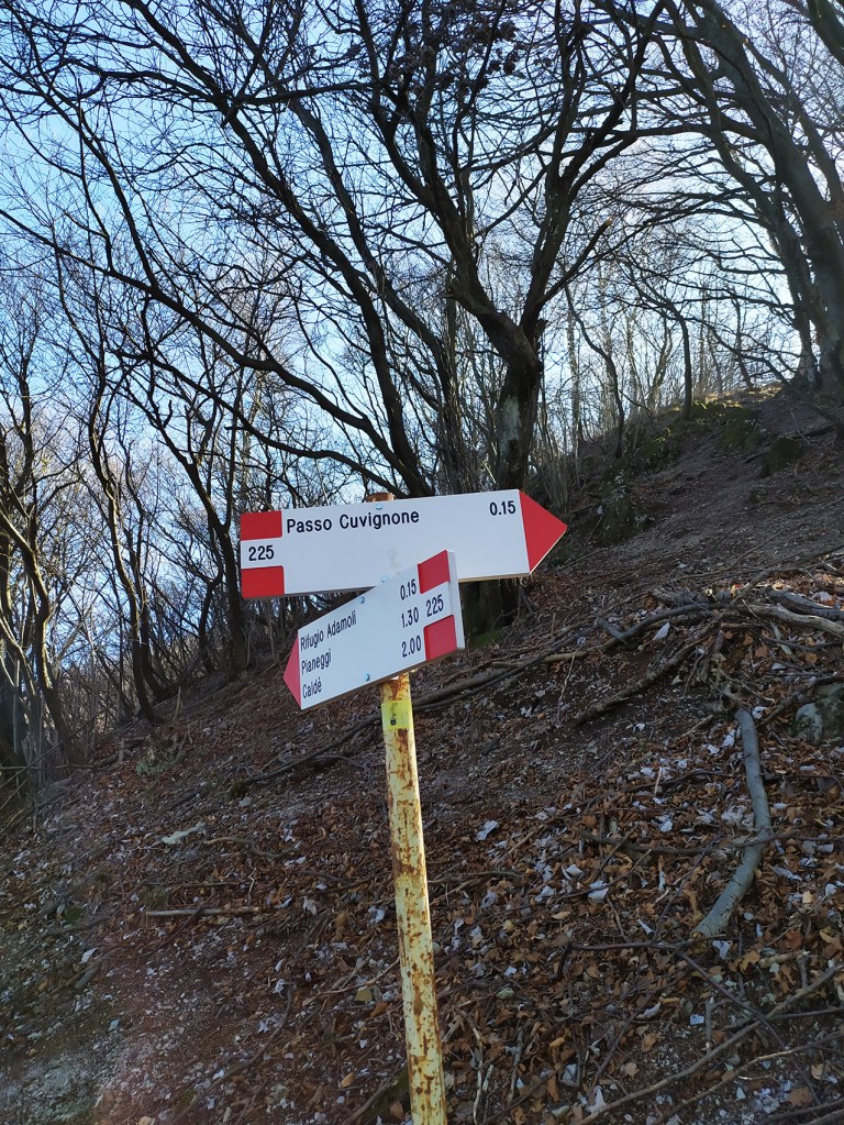 21_IMG_20200223_114735