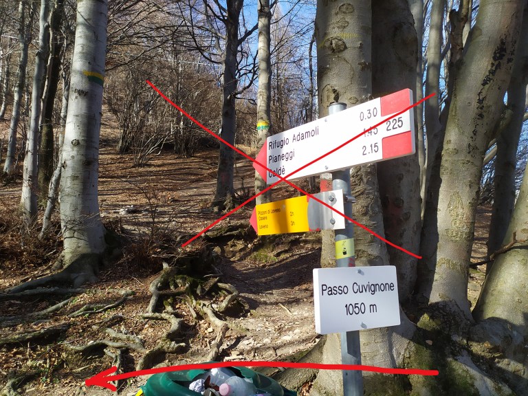 31_IMG_20200223_142136