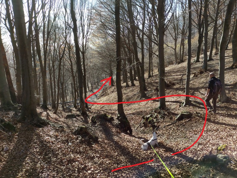 32_IMG_20200223_142320