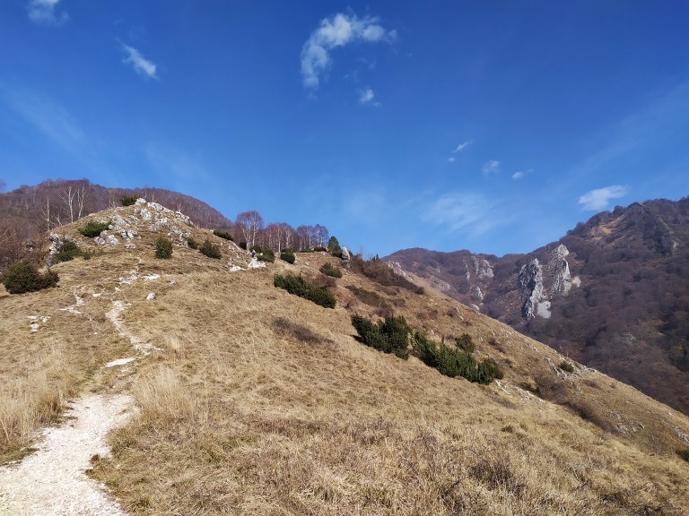 35_IMG_20200223_145239