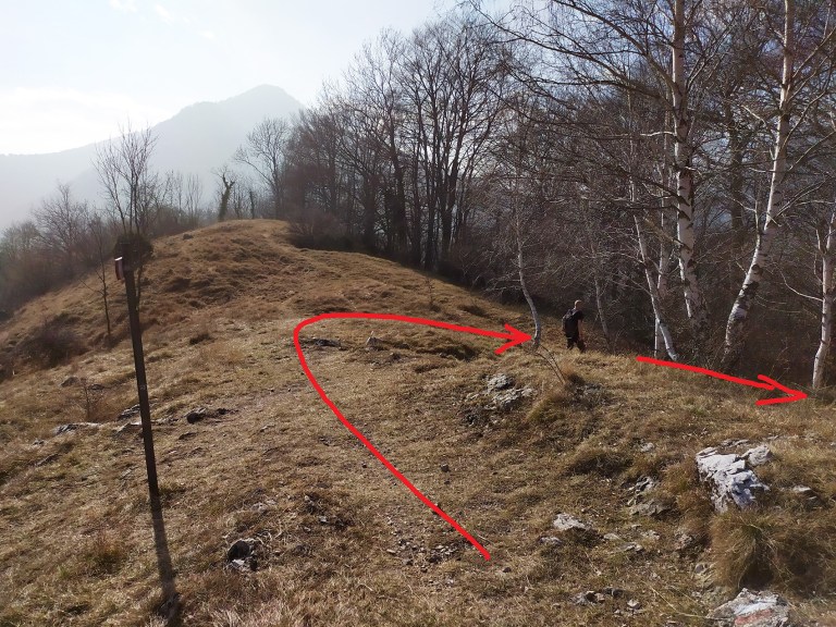 36_IMG_20200223_145249