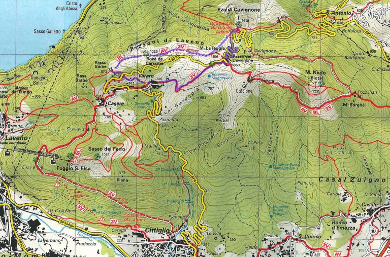 cartina Pizzoni con traccia