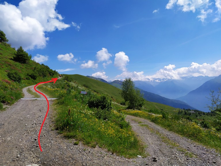 15_IMG_20200628_111337