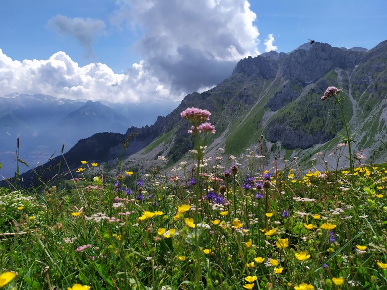 16_01_IMG_20200628_115635